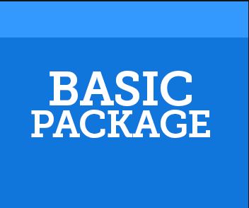 Basic Package With 1 Year Support